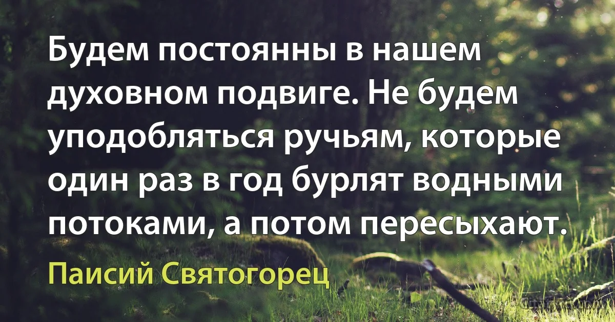 Будем постоянны в нашем духовном подвиге. Не будем уподобляться ручьям, которые один раз в год бурлят водными потоками, а потом пересыхают. (Паисий Святогорец)