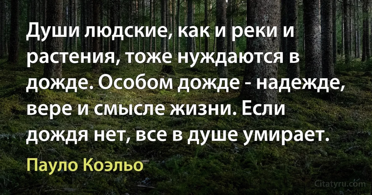 Души людские, как и реки и растения, тоже нуждаются в дожде. Особом дожде - надежде, вере и смысле жизни. Если дождя нет, все в душе умирает. (Пауло Коэльо)