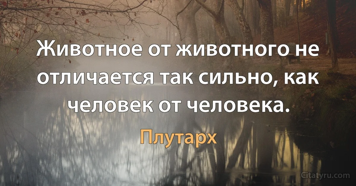 Животное от животного не отличается так сильно, как человек от человека. (Плутарх)