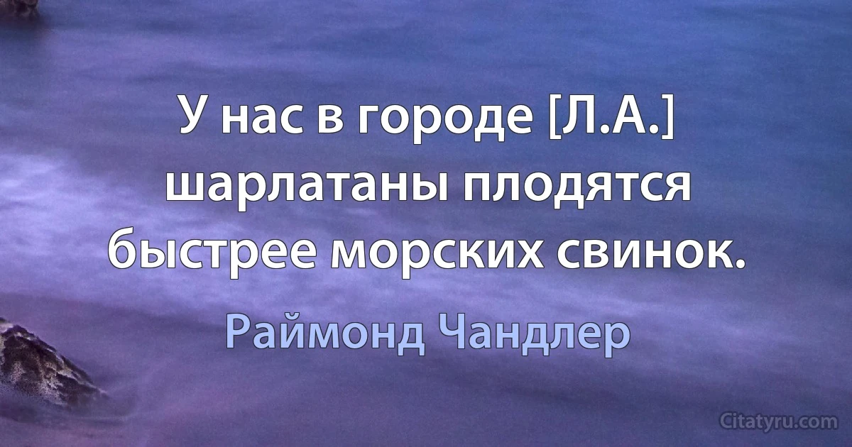 У нас в городе [Л.А.] шарлатаны плодятся быстрее морских свинок. (Раймонд Чандлер)