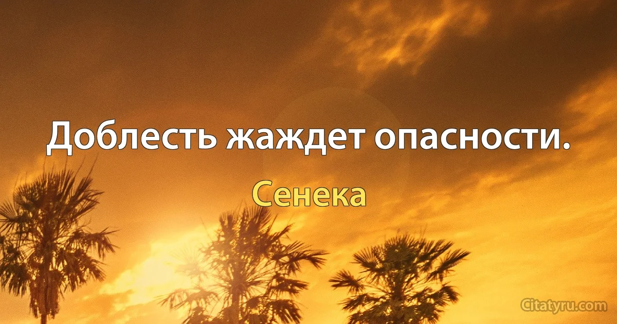 Доблесть жаждет опасности. (Сенека)