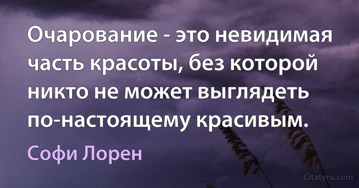 Очарование - это невидимая часть красоты, без которой никто не может выглядеть по-настоящему красивым. (Софи Лорен)