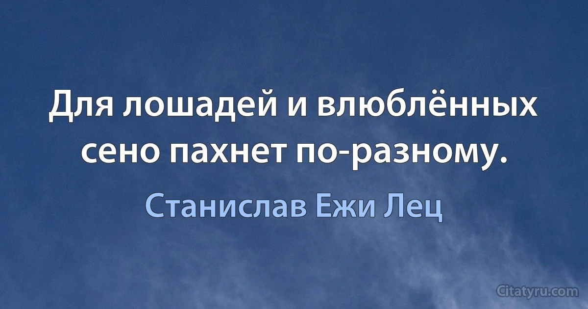 Для лошадей и влюблённых сено пахнет по-разному. (Станислав Ежи Лец)