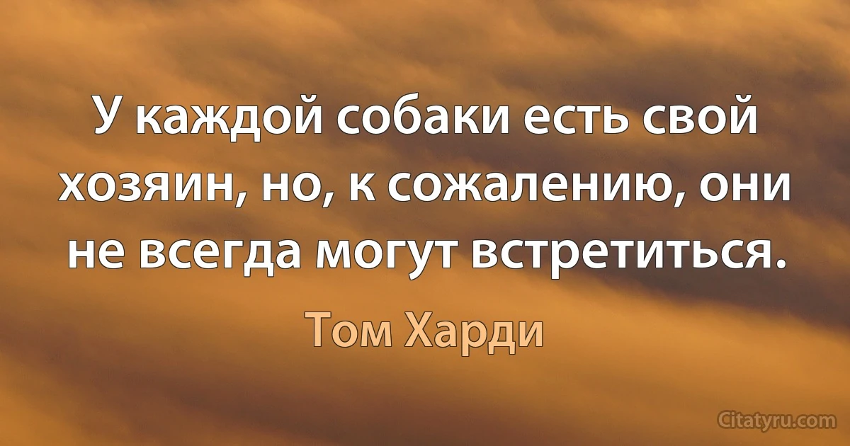 У каждой собаки есть свой хозяин, но, к сожалению, они не всегда могут встретиться. (Том Харди)