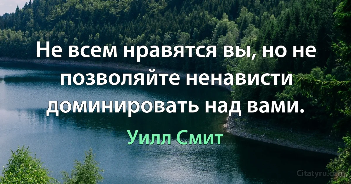 Не всем нравятся вы, но не позволяйте ненависти доминировать над вами. (Уилл Смит)