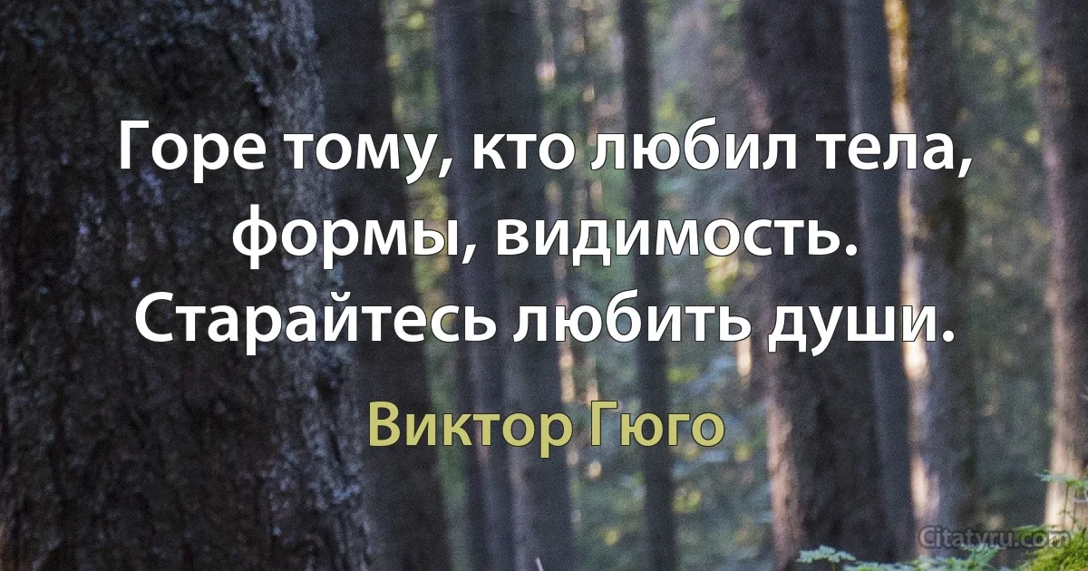 Горе тому, кто любил тела, формы, видимость. Старайтесь любить души. (Виктор Гюго)