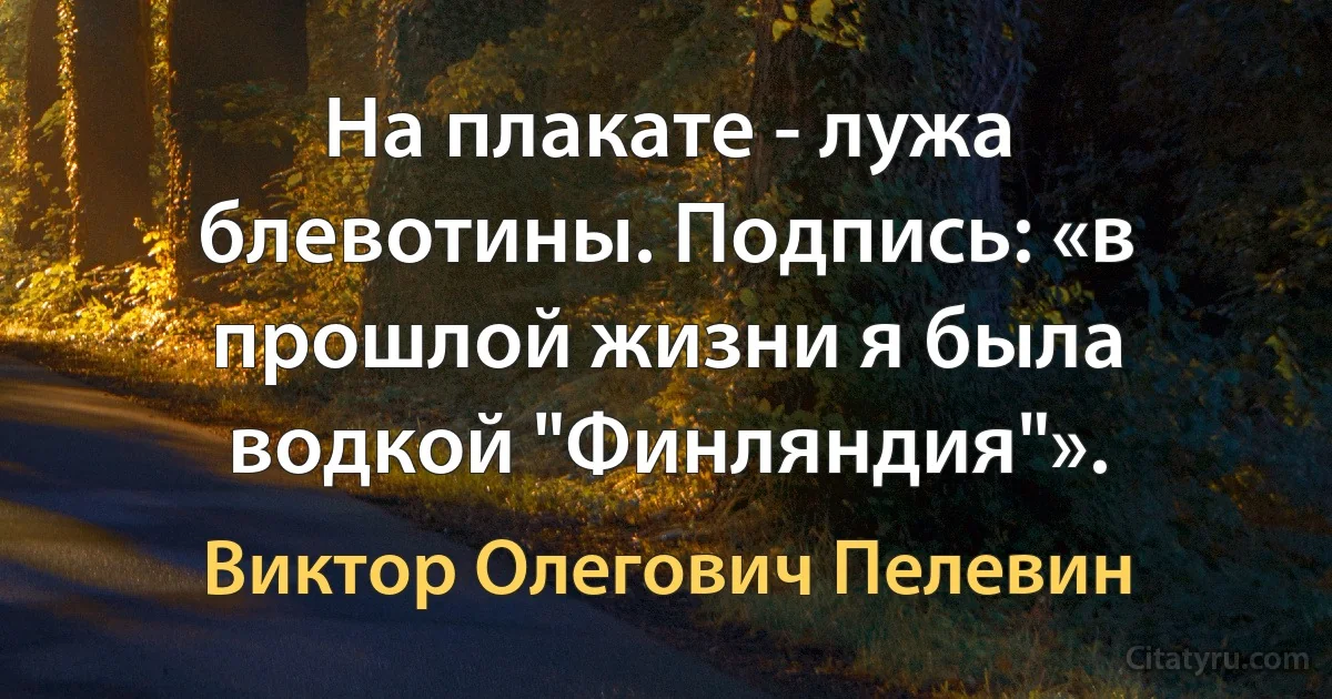 На плакате - лужа блевотины. Подпись: «в прошлой жизни я была водкой "Финляндия"». (Виктор Олегович Пелевин)