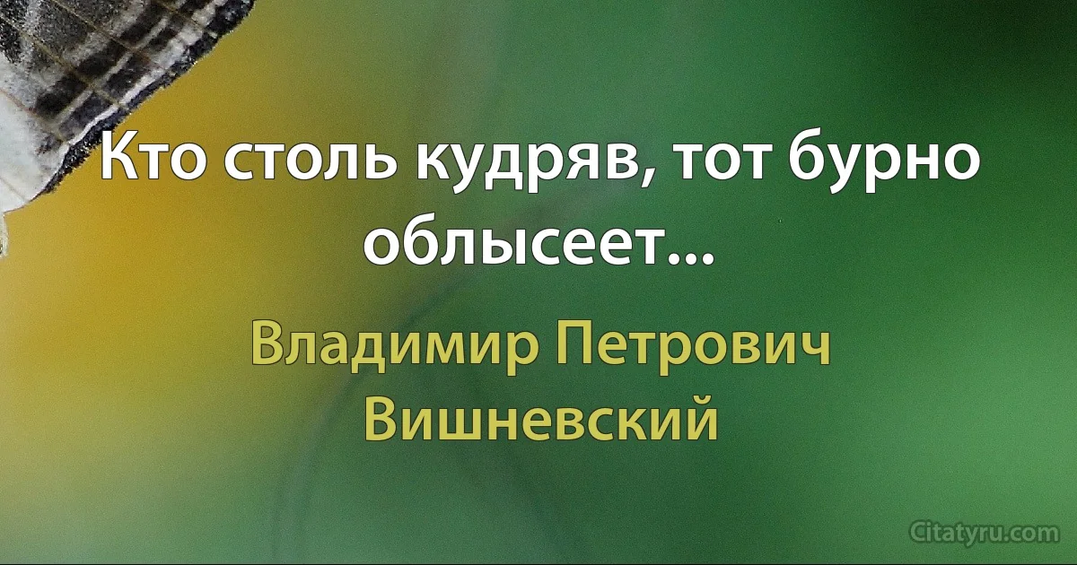 Кто столь кудряв, тот бурно облысеет... (Владимир Петрович Вишневский)