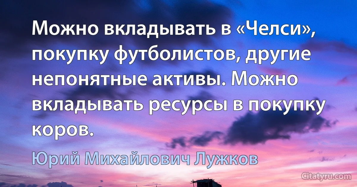 Можно вкладывать в «Челси», покупку футболистов, другие непонятные активы. Можно вкладывать ресурсы в покупку коров. (Юрий Михайлович Лужков)