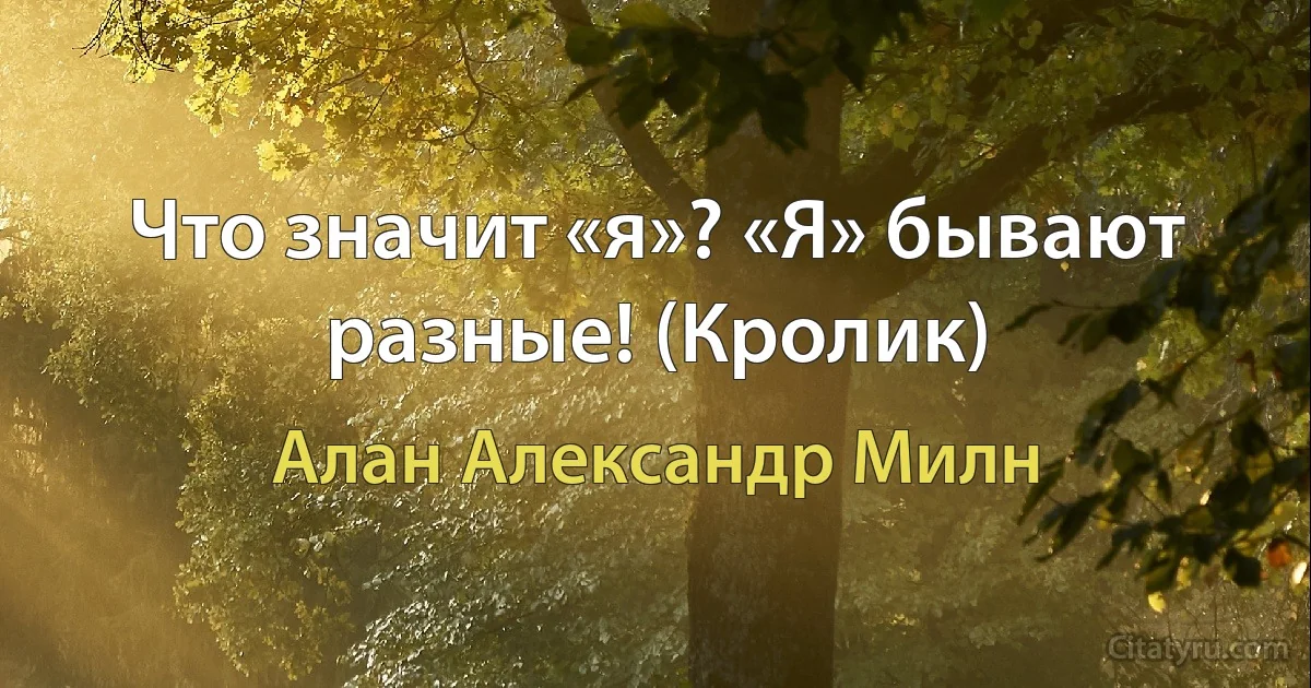 Что значит «я»? «Я» бывают разные! (Кролик) (Алан Александр Милн)