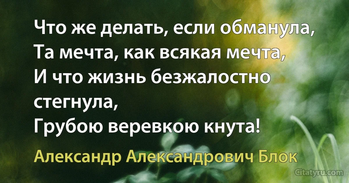 Что же делать, если обманула,
Та мечта, как всякая мечта,
И что жизнь безжалостно стегнула,
Грубою веревкою кнута! (Александр Александрович Блок)