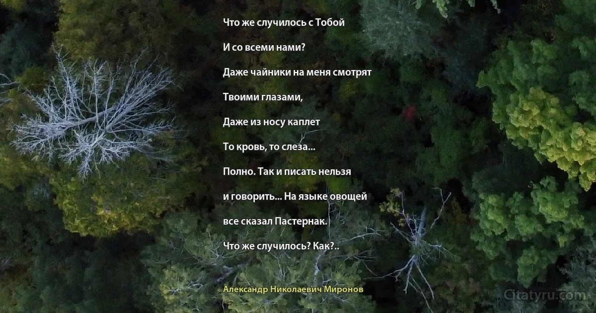 Что же случилось с Тобой

И со всеми нами?

Даже чайники на меня смотрят

Твоими глазами,

Даже из носу каплет

То кровь, то слеза...

Полно. Так и писать нельзя

и говорить... На языке овощей

все сказал Пастернак.

Что же случилось? Как?.. (Александр Николаевич Миронов)