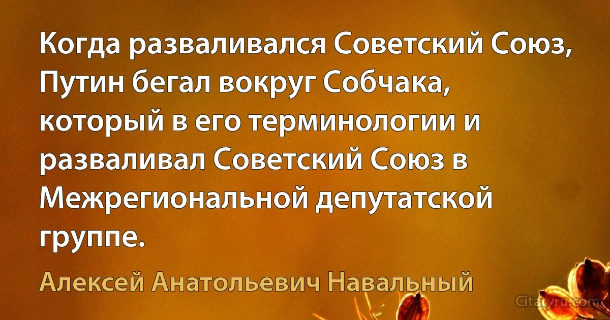 Когда разваливался Советский Союз, Путин бегал вокруг Собчака, который в его терминологии и разваливал Советский Союз в Межрегиональной депутатской группе. (Алексей Анатольевич Навальный)