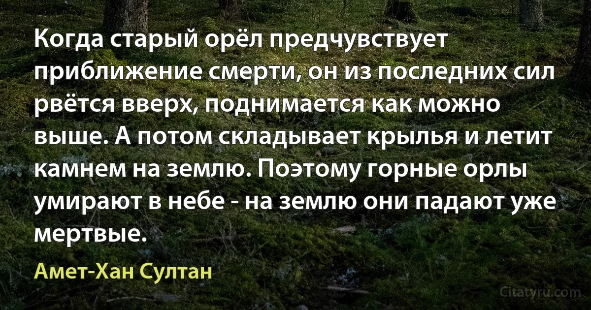 Когда старый орёл предчувствует приближение смерти, он из последних сил рвётся вверх, поднимается как можно выше. А потом складывает крылья и летит камнем на землю. Поэтому горные орлы умирают в небе - на землю они падают уже мертвые. (Амет-Хан Султан)