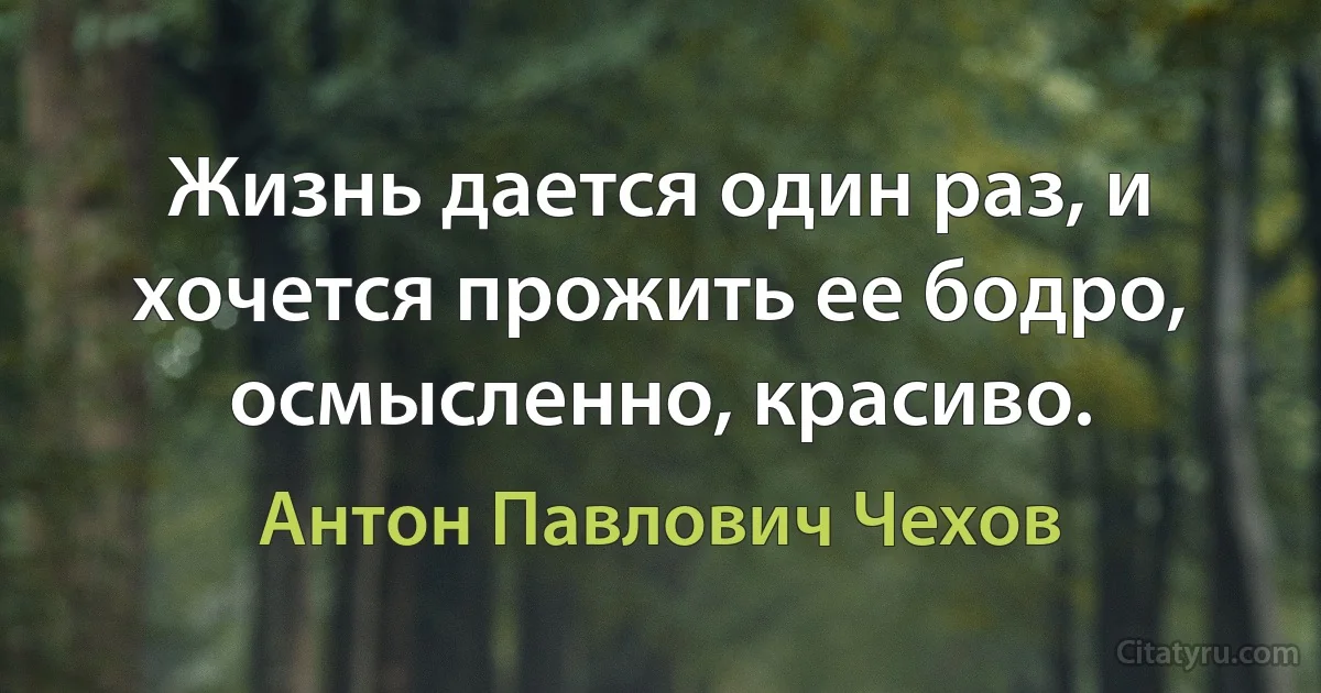 Жизнь дается один раз, и хочется прожить ее бодро, осмысленно, красиво. (Антон Павлович Чехов)