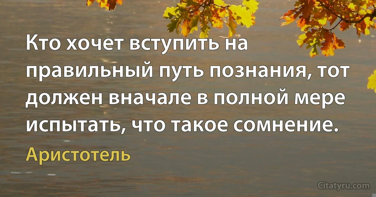 Кто хочет вступить на правильный путь познания, тот должен вначале в полной мере испытать, что такое сомнение. (Аристотель)