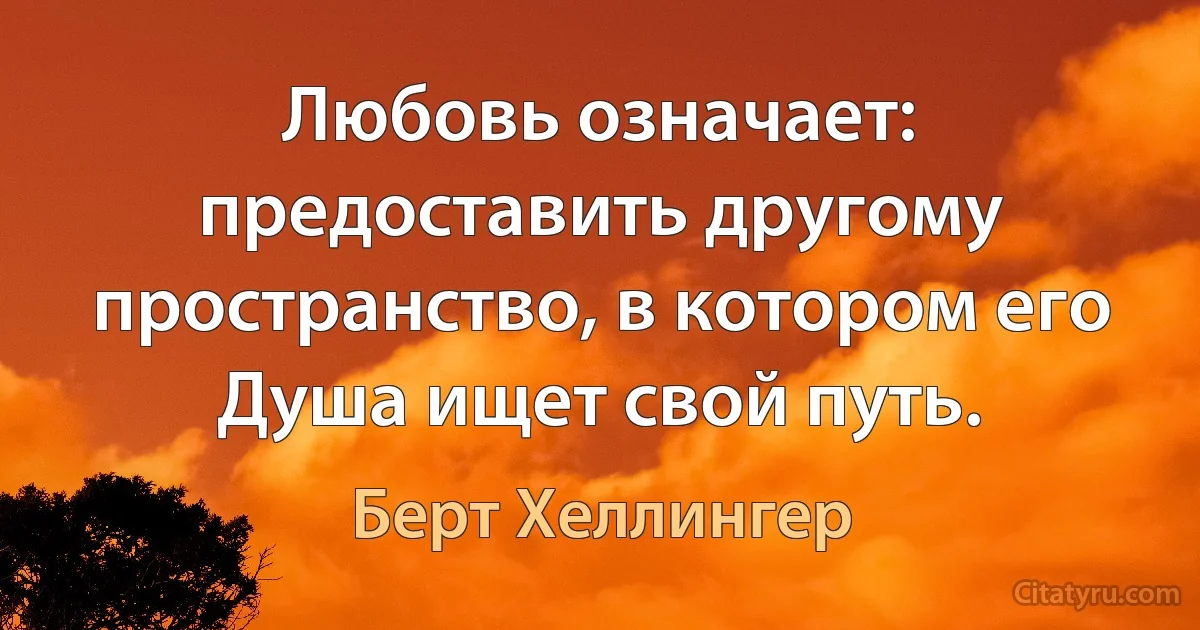 Любовь означает: предоставить другому пространство, в котором его Душа ищет свой путь. (Берт Хеллингер)