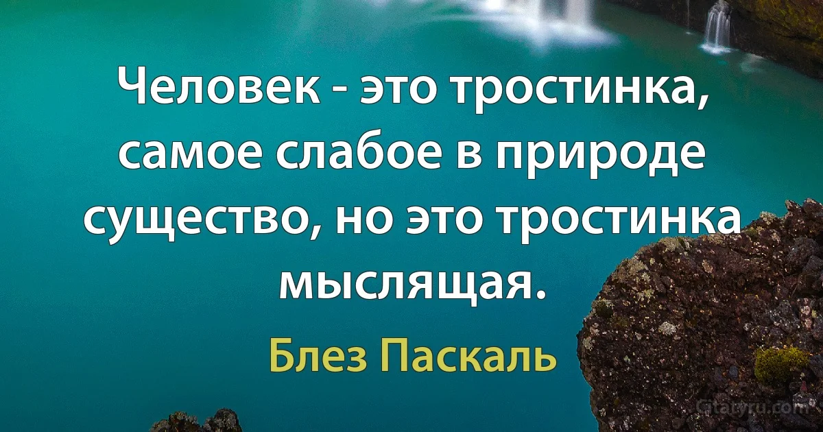 Человек - это тростинка, самое слабое в природе существо, но это тростинка мыслящая. (Блез Паскаль)