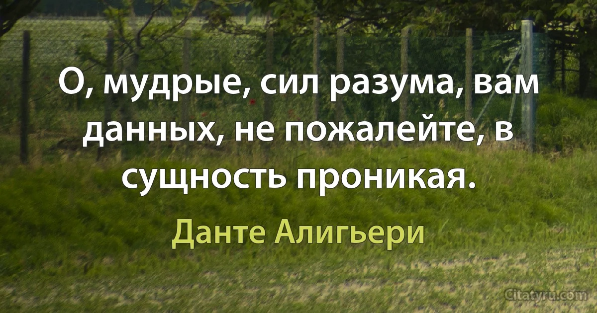 О, мудрые, сил разума, вам данных, не пожалейте, в сущность проникая. (Данте Алигьери)