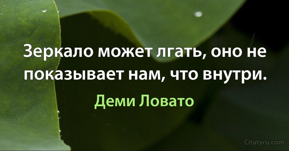 Зеркало может лгать, оно не показывает нам, что внутри. (Деми Ловато)