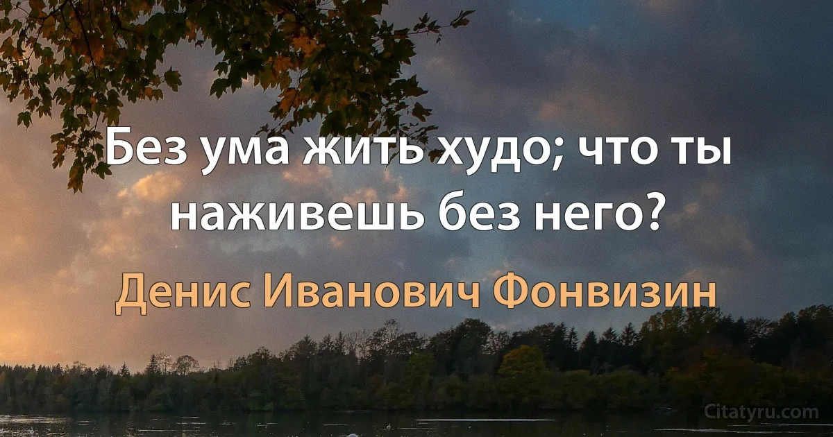 Без ума жить худо; что ты наживешь без него? (Денис Иванович Фонвизин)