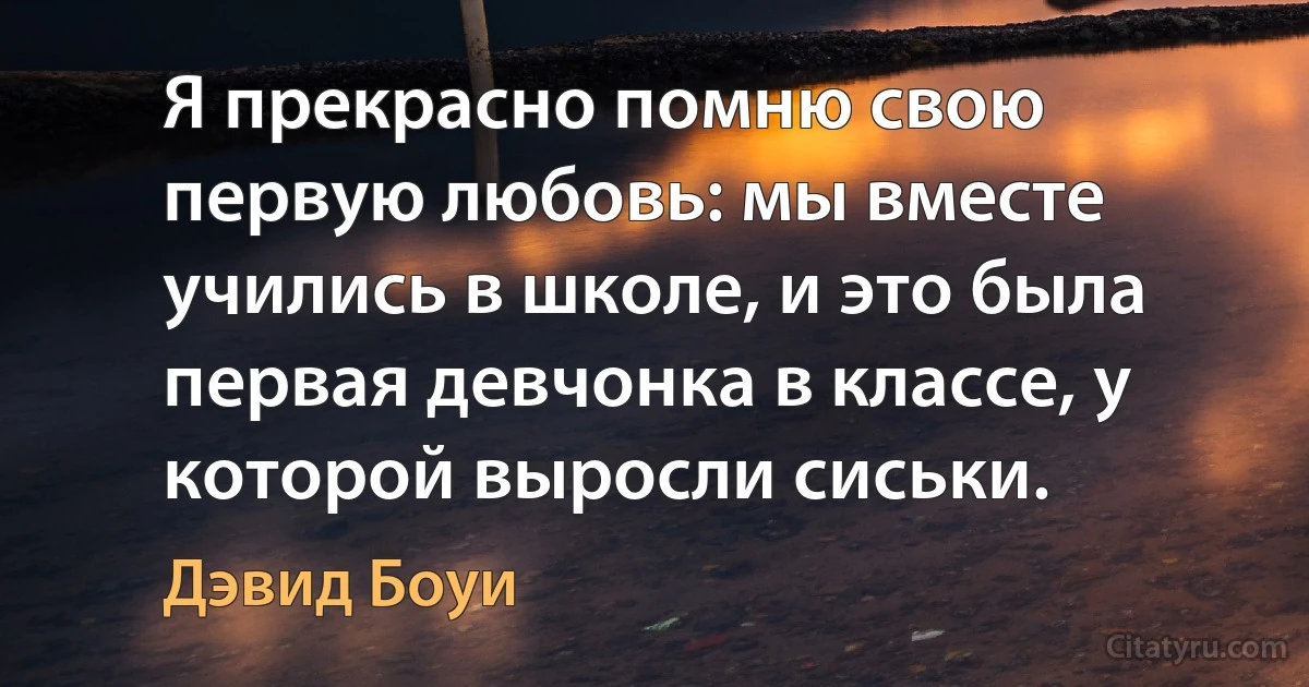 Я прекрасно помню свою первую любовь: мы вместе учились в школе, и это была первая девчонка в классе, у которой выросли сиськи. (Дэвид Боуи)