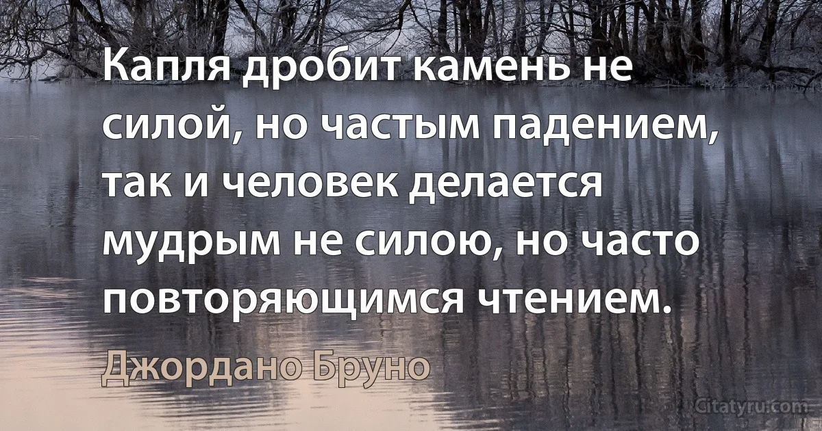 Капля дробит камень не силой, но частым падением, так и человек делается мудрым не силою, но часто повторяющимся чтением. (Джордано Бруно)