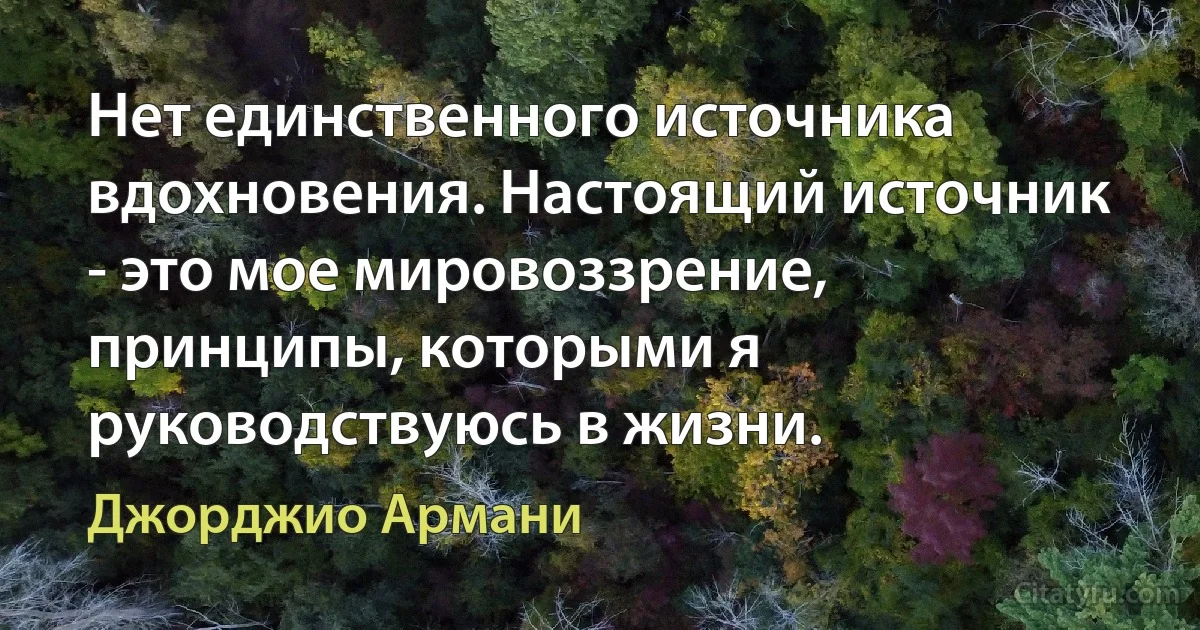 Нет единственного источника вдохновения. Настоящий источник - это мое мировоззрение, принципы, которыми я руководствуюсь в жизни. (Джорджио Армани)