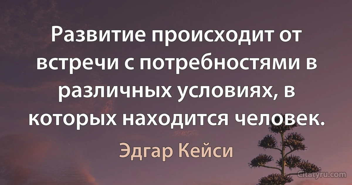 Развитие происходит от встречи с потребностями в различных условиях, в которых находится человек. (Эдгар Кейси)