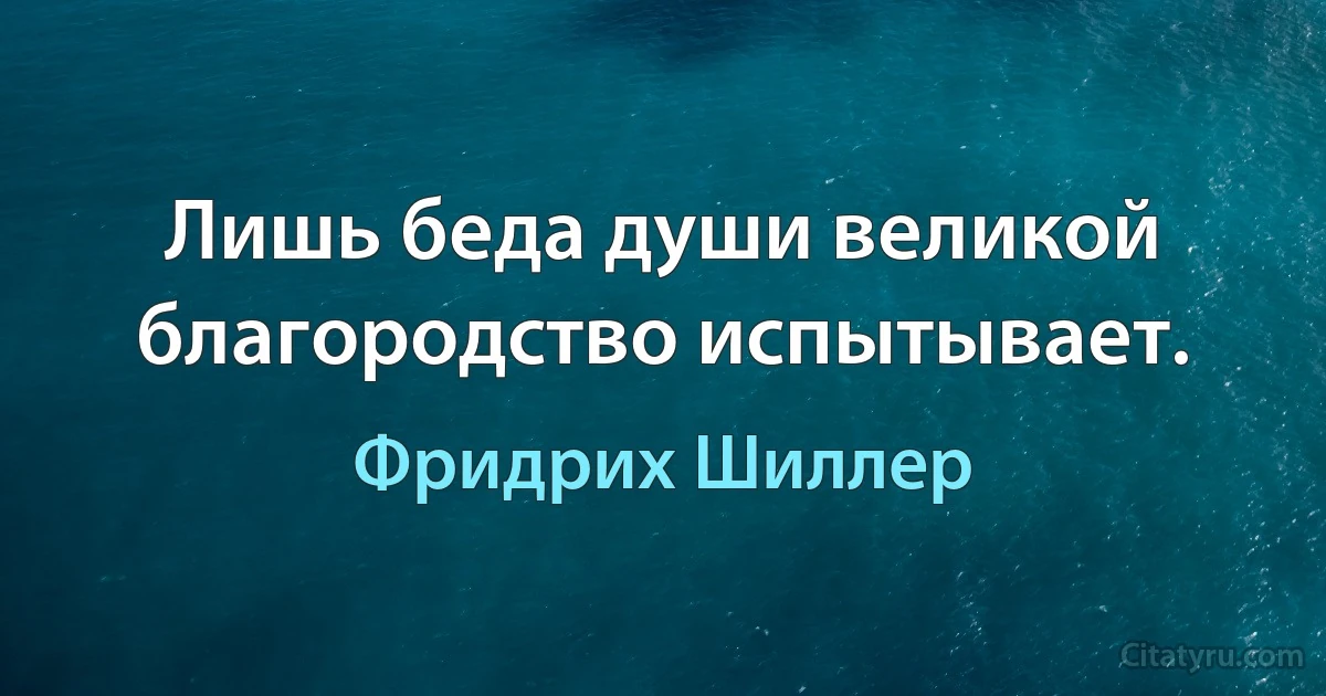 Лишь беда души великой благородство испытывает. (Фридрих Шиллер)