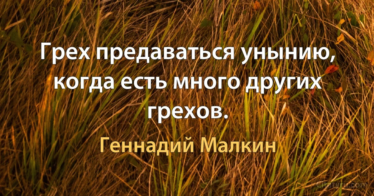 Грех предаваться унынию, когда есть много других грехов. (Геннадий Малкин)