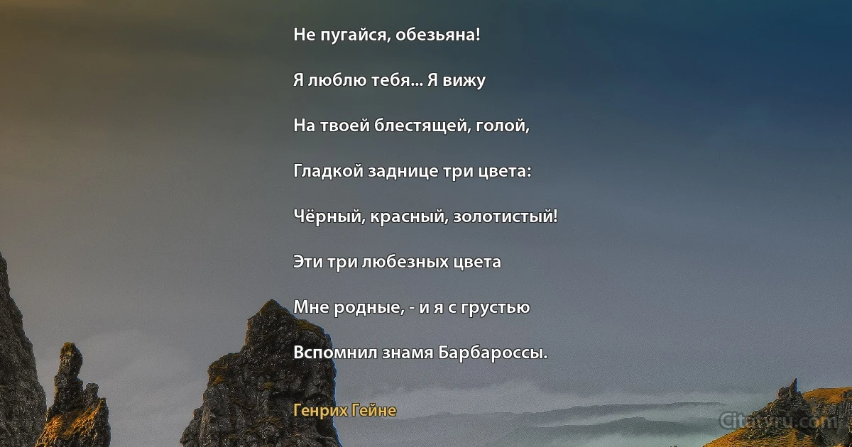 Не пугайся, обезьяна!

Я люблю тебя... Я вижу

На твоей блестящей, голой,

Гладкой заднице три цвета:

Чёрный, красный, золотистый!

Эти три любезных цвета

Мне родные, - и я с грустью

Вспомнил знамя Барбароссы. (Генрих Гейне)