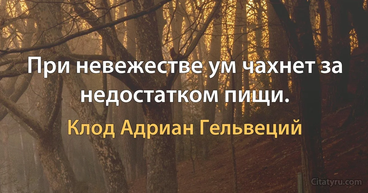 При невежестве ум чахнет за недостатком пищи. (Клод Адриан Гельвеций)