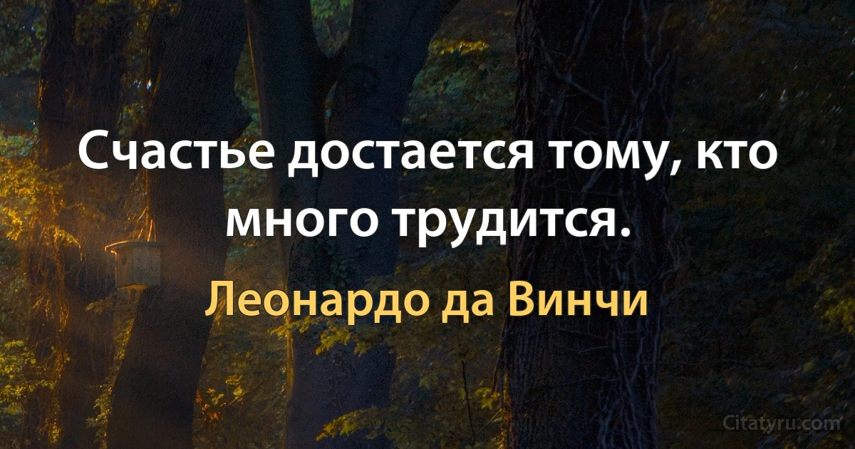 Счастье достается тому, кто много трудится. (Леонардо да Винчи)