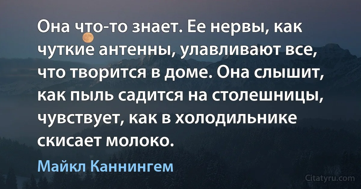 Она что-то знает. Ее нервы, как чуткие антенны, улавливают все, что творится в доме. Она слышит, как пыль садится на столешницы, чувствует, как в холодильнике скисает молоко. (Майкл Каннингем)