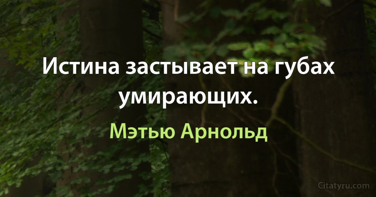 Истина застывает на губах умирающих. (Мэтью Арнольд)