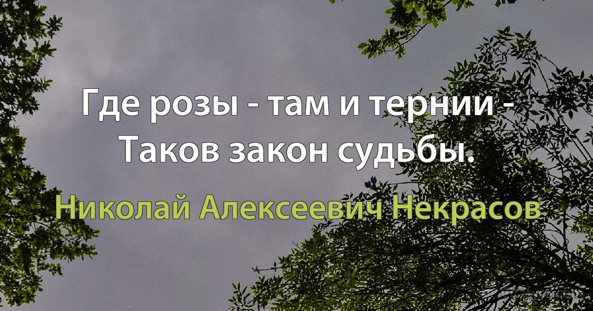 Где розы - там и тернии - Таков закон судьбы. (Николай Алексеевич Некрасов)