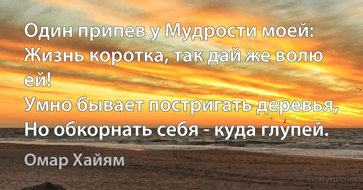 Один припев у Мудрости моей:
Жизнь коротка, так дай же волю ей!
Умно бывает постригать деревья,
Но обкорнать себя - куда глупей. (Омар Хайям)