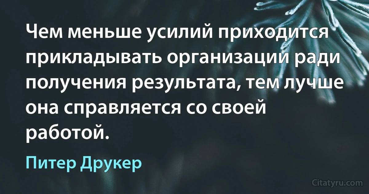 Чем меньше усилий приходится прикладывать организации ради получения результата, тем лучше она справляется со своей работой. (Питер Друкер)