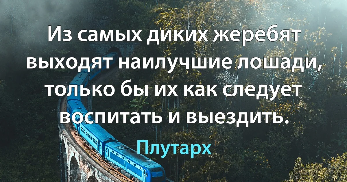 Из самых диких жеребят выходят наилучшие лошади, только бы их как следует воспитать и выездить. (Плутарх)