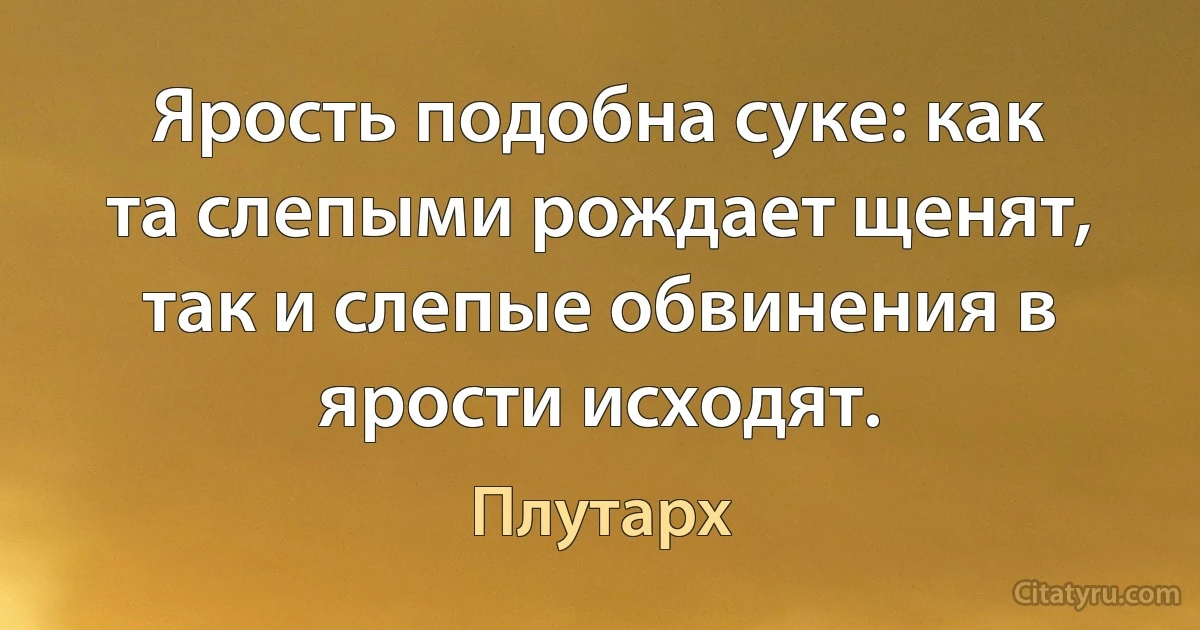 Ярость подобна суке: как та слепыми рождает щенят, так и слепые обвинения в ярости исходят. (Плутарх)