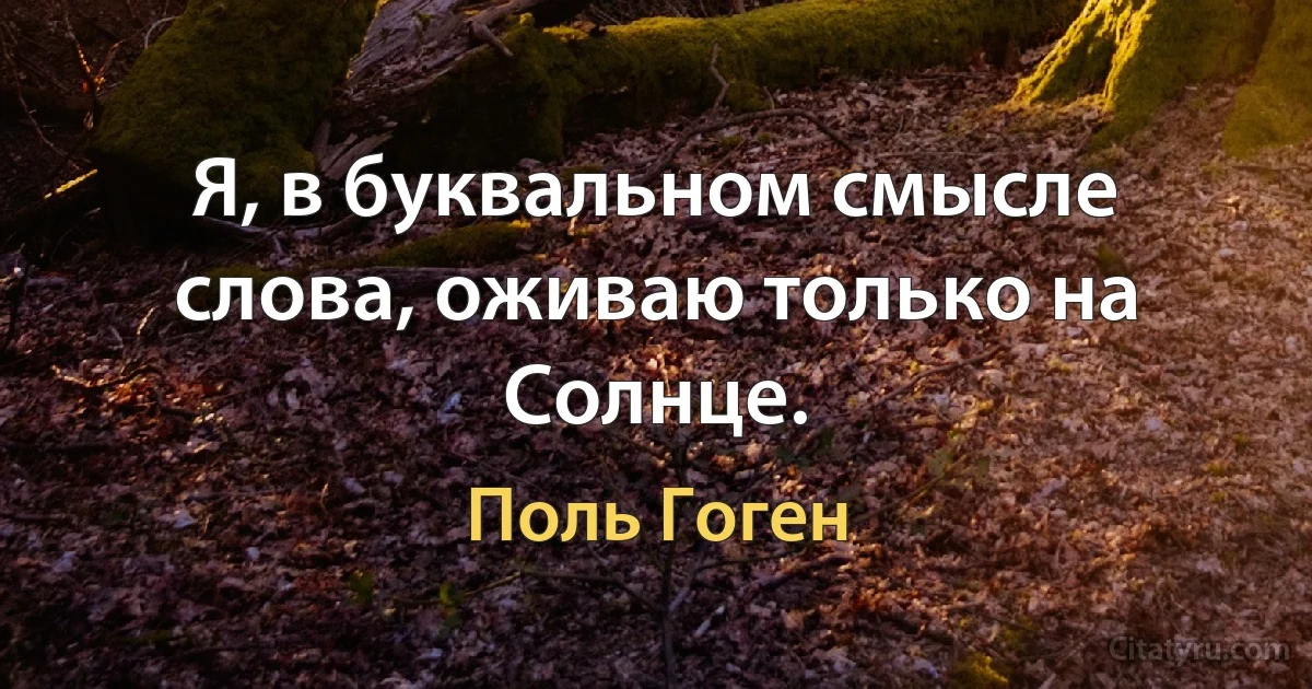 Я, в буквальном смысле слова, оживаю только на Солнце. (Поль Гоген)