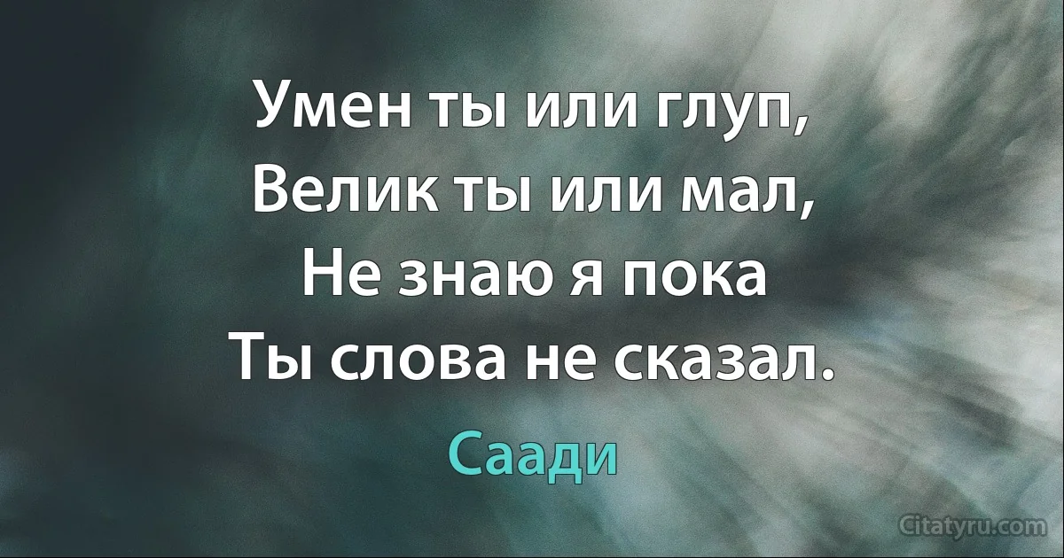 Умен ты или глуп,
Велик ты или мал,
Не знаю я пока
Ты слова не сказал. (Саади)