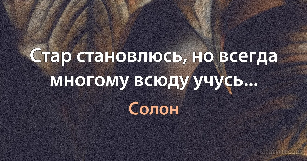 Стар становлюсь, но всегда многому всюду учусь... (Солон)