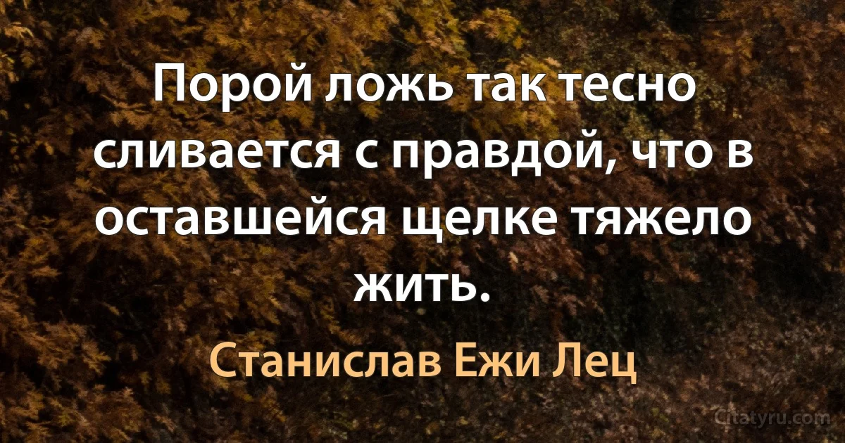 Порой ложь так тесно сливается с правдой, что в оставшейся щелке тяжело жить. (Станислав Ежи Лец)