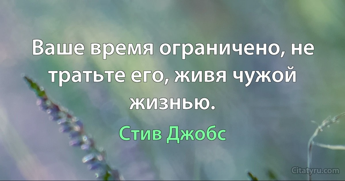 Ваше время ограничено, не тратьте его, живя чужой жизнью. (Стив Джобс)