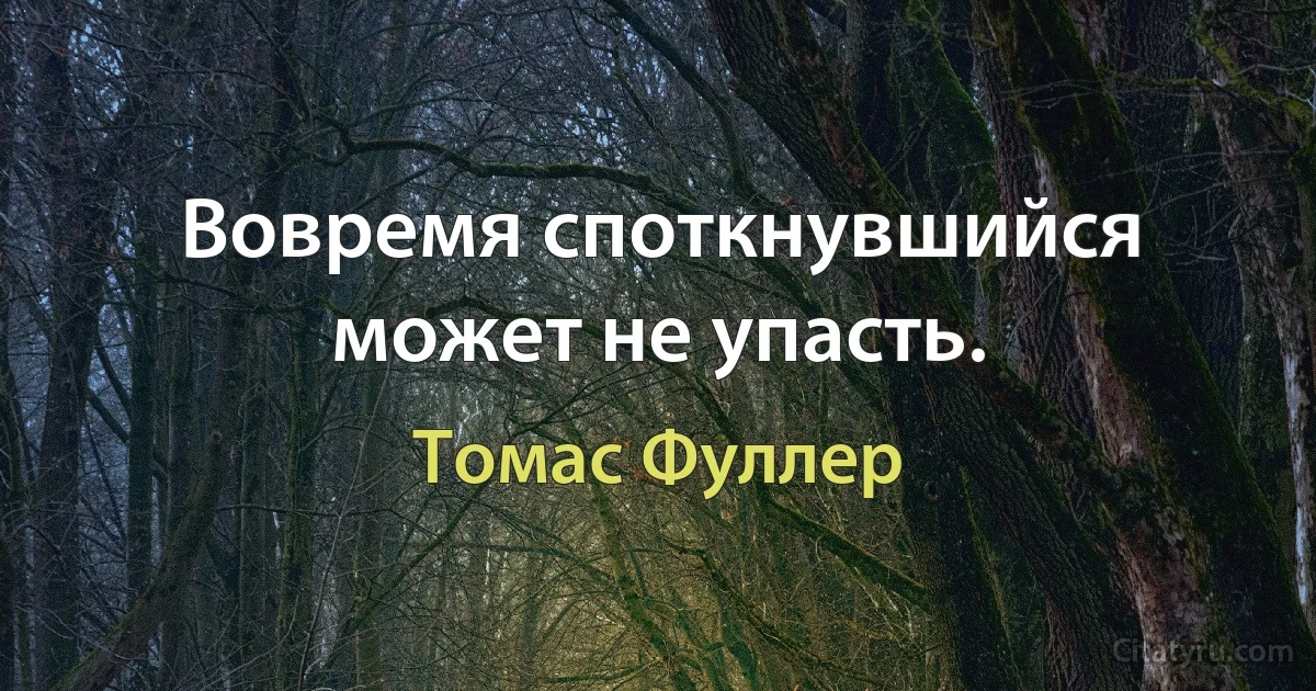 Вовремя споткнувшийся может не упасть. (Томас Фуллер)