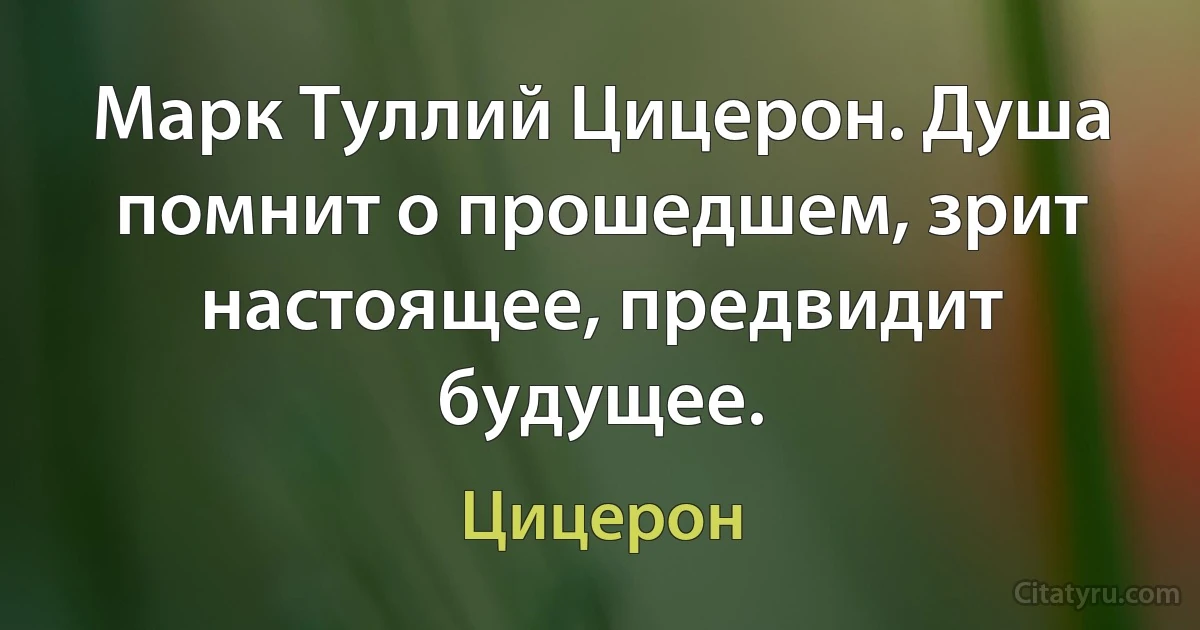 Марк Туллий Цицерон. Душа помнит о прошедшем, зрит настоящее, предвидит будущее. (Цицерон)