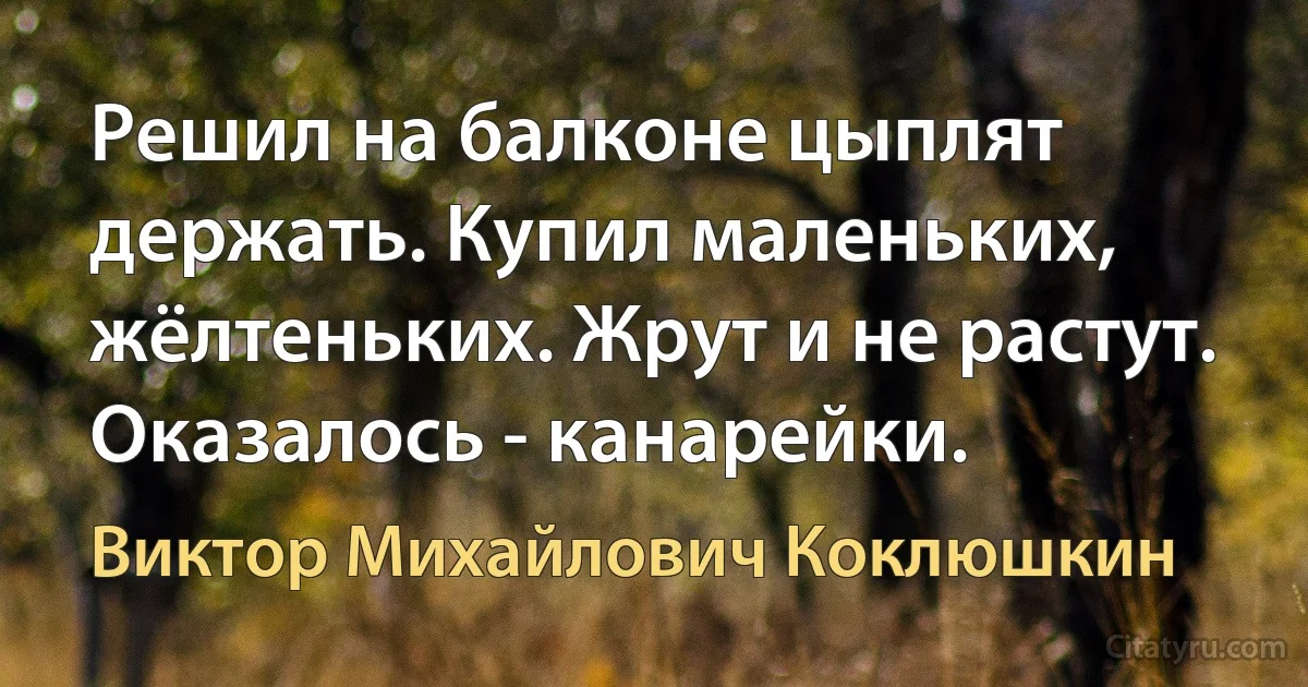 Решил на балконе цыплят держать. Купил маленьких, жёлтеньких. Жрут и не растут. Оказалось - канарейки. (Виктор Михайлович Коклюшкин)