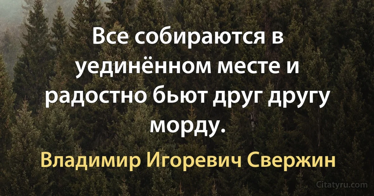 Все собираются в уединённом месте и радостно бьют друг другу морду. (Владимир Игоревич Свержин)